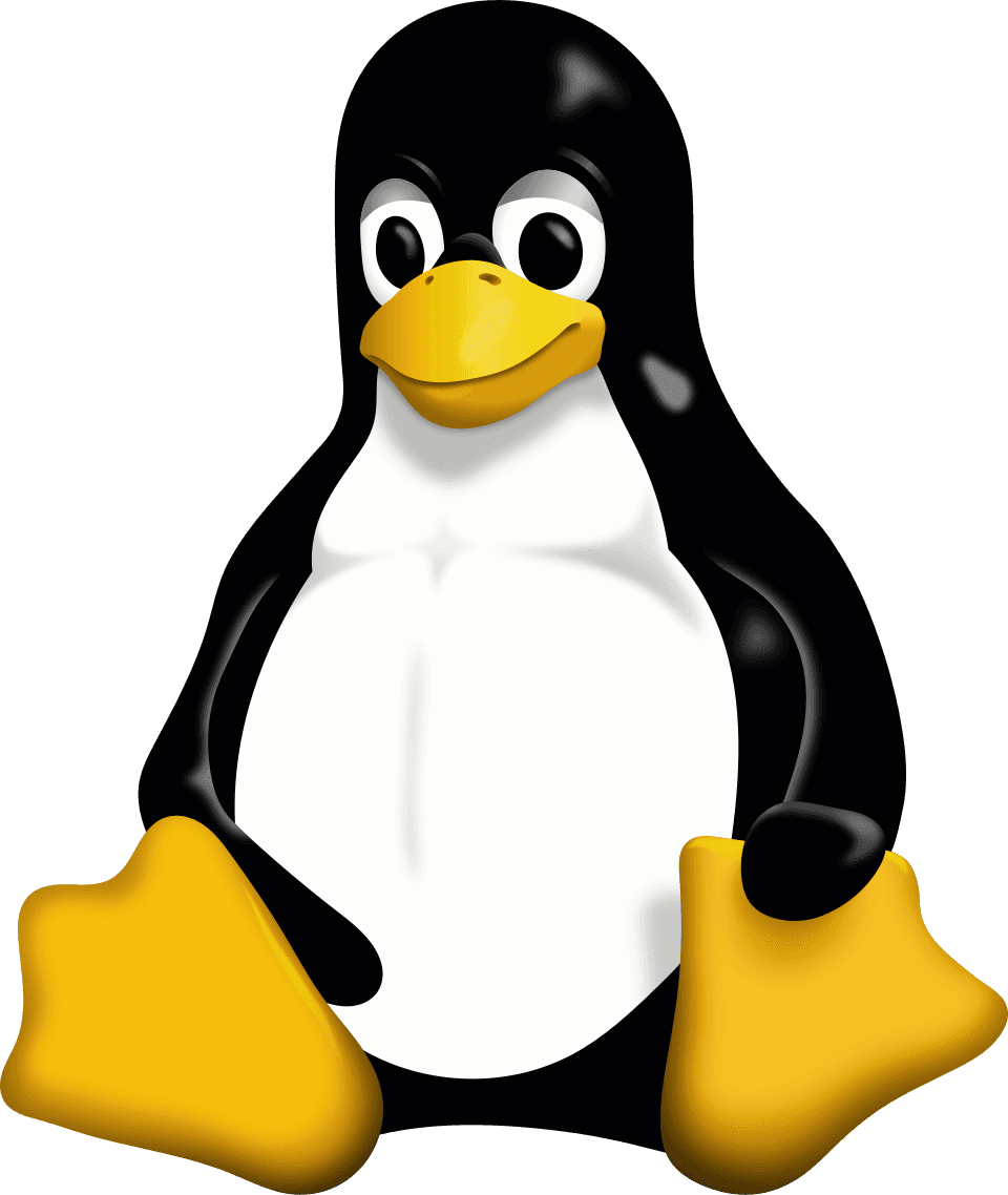 The Linux Kernel